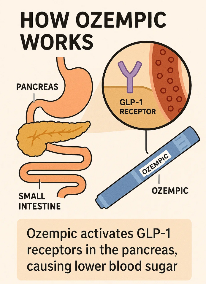Ozempic cómo el medicamento ayuda a reducir el peso de manera eficaz y cómoda